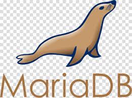 MySQL/MariaDB